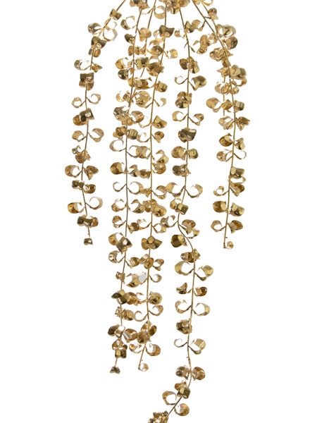 Picture of 36" MINI FICUS BENJAMINA VINE