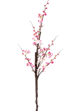 Picture of 47" PLUM BLOSSOM
