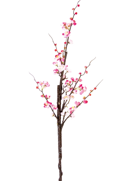 Picture of 47" PLUM BLOSSOM