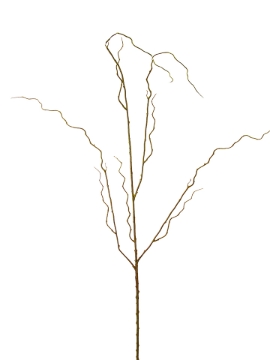 Picture of 48" CURLY WILLOW