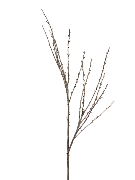 Picture of 46" TWIG BRANCH