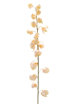 Picture of 51" CHINESE LANTERN SPRAY