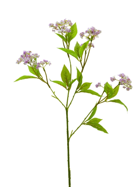 Picture of 33" MINI WILD FLOWER