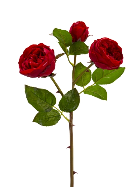 Picture of 24" REAL TOUCH CABBAGE ROSE SPRAY