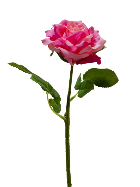 Picture of 17" REAL TOUCH ROSE PICK