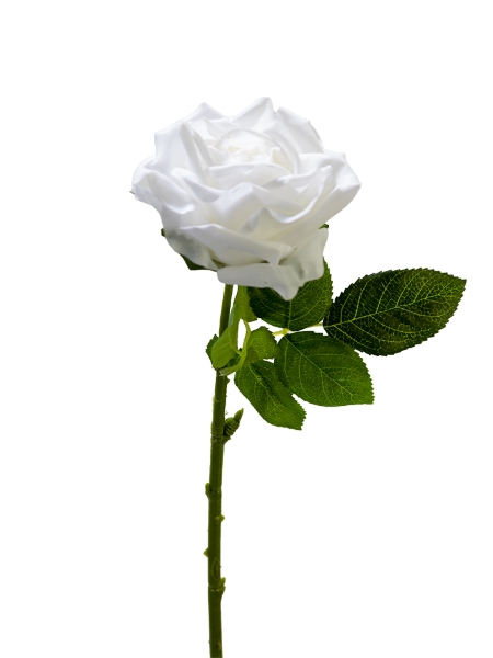 Picture of 17" REAL TOUCH ROSE PICK