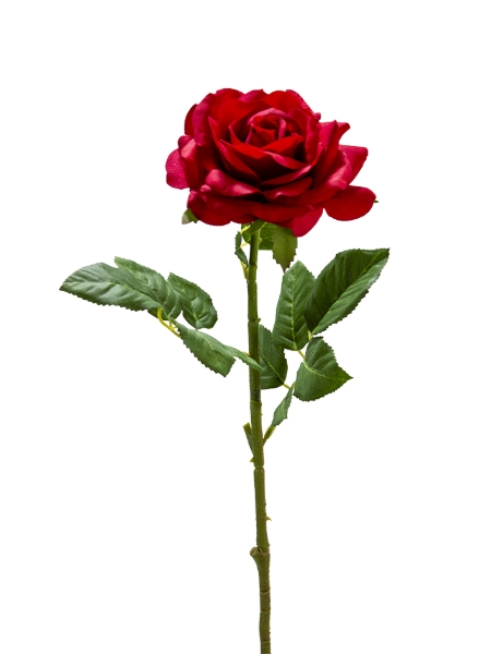 Picture of 24" REAL TOUCH  ROSE  STEM