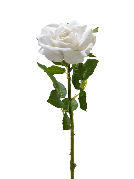 Picture of 24" REAL TOUCH  ROSE  STEM