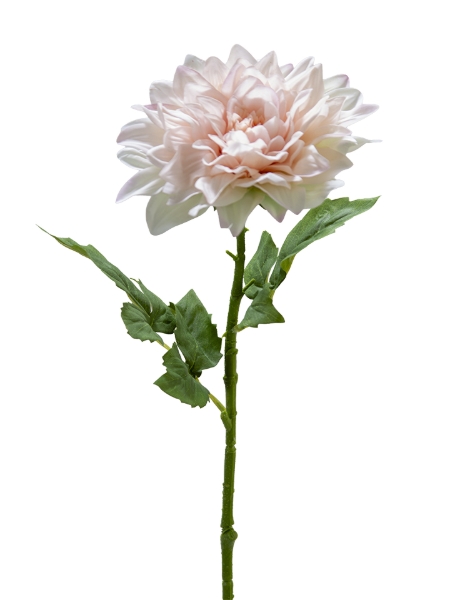 Picture of 24" REAL TOUCH DAHLIA SPRAY