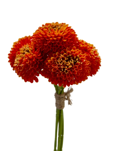 Picture of 11" X 6 DAHLIA BUNDLE