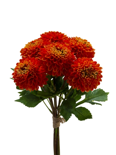 Picture of 18" X 6 DAHLIA BUNDLE