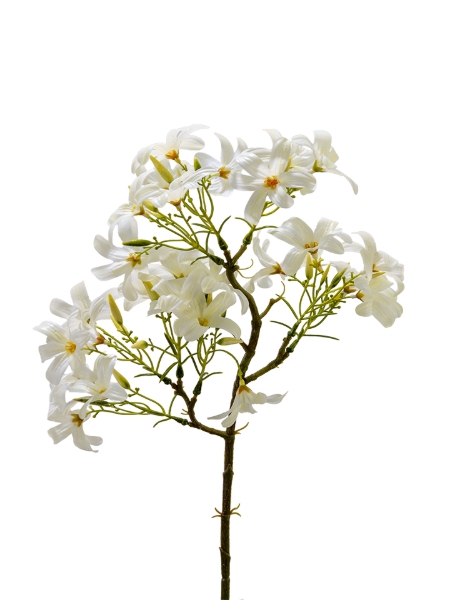 Picture of 19" REAL TOUCH FORSYTHIA SPRAY
