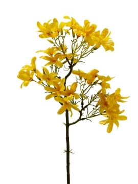 Picture of 19" REAL TOUCH FORSYTHIA SPRAY