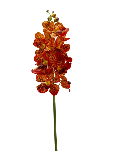 Picture of 27" REAL TOUCH VANDA ORCHID