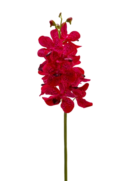 Picture of 27" REAL TOUCH VANDA ORCHID