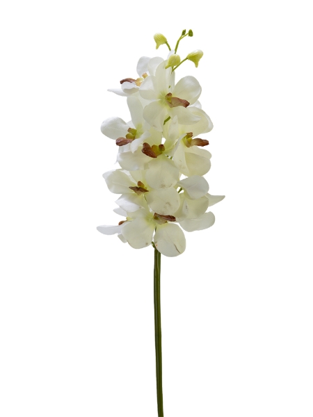 Picture of 27" REAL TOUCH VANDA ORCHID