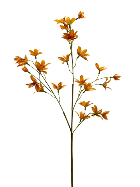 Picture of 35" REAL TOUCH FAIRY LILY SPRAY
