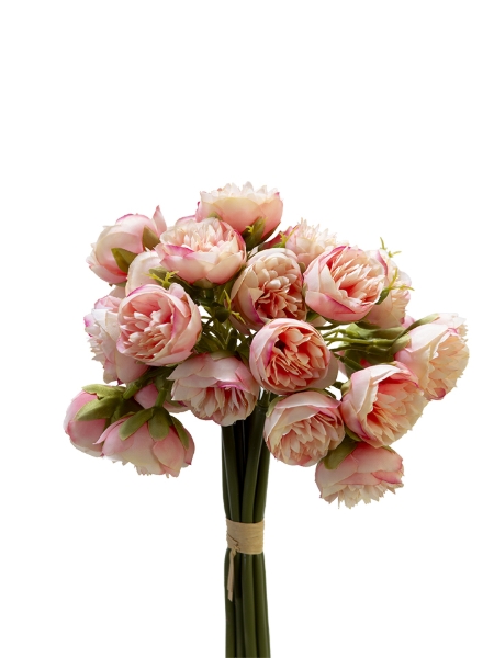 Picture of 9" X 12 MINI PEONY BUNDLE