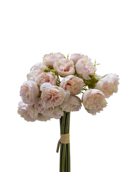 Picture of 9" X 12 MINI PEONY BUNDLE