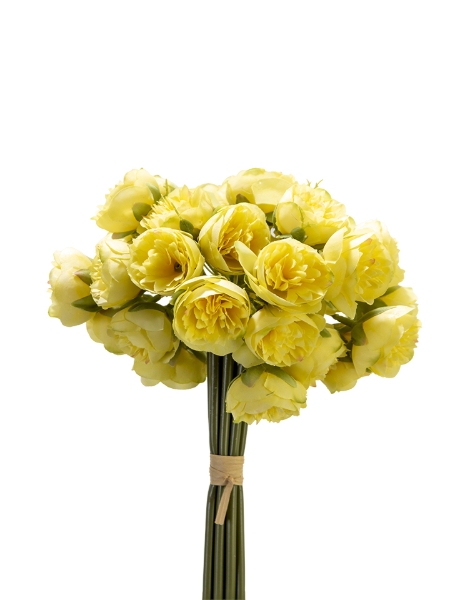 Picture of 9" X 12 MINI PEONY BUNDLE