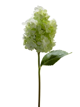 Picture of 25" REAL TOUCH HYDRANGEA SPRAY