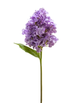 Picture of 25" REAL TOUCH HYDRANGEA SPRAY