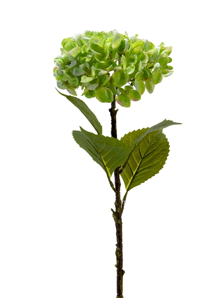 Picture of 28" REAL TOUCH HYDRANGEA SPRAY