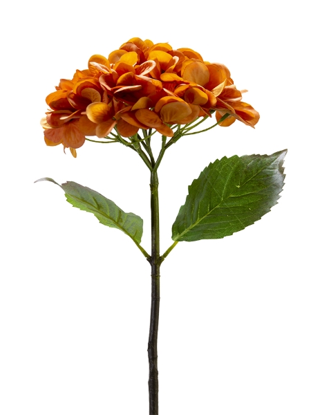 Picture of 19" REAL TOUCH HYDRANGEA SPRAY