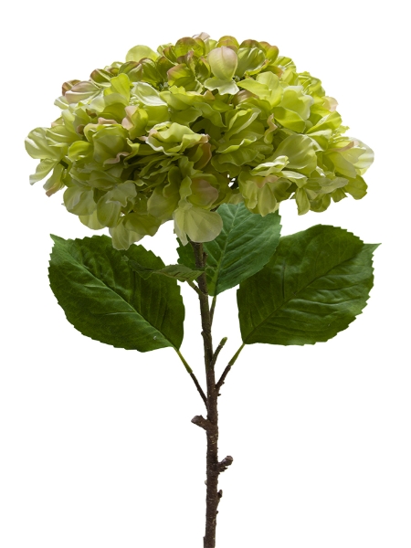 Picture of 36" LARGE HYDRANGEA
