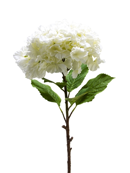 Picture of 36" LARGE HYDRANGEA