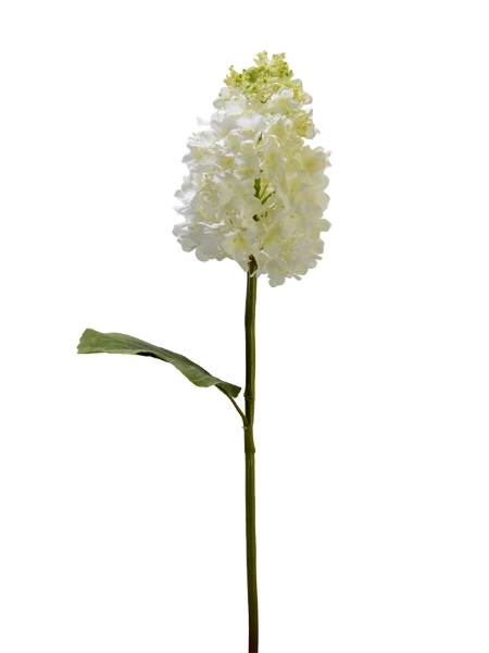 Picture of 25" REAL TOUCH CONE HYDRANGEA 