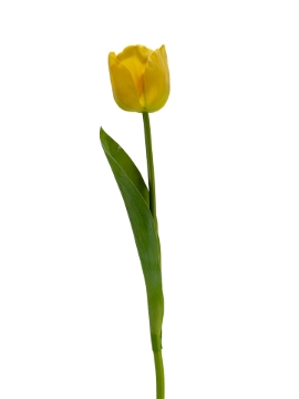 Picture of 24" REAL TOUCH TULIP