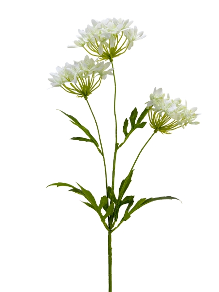 Picture of 29" AGAPANTHUS SPRAY