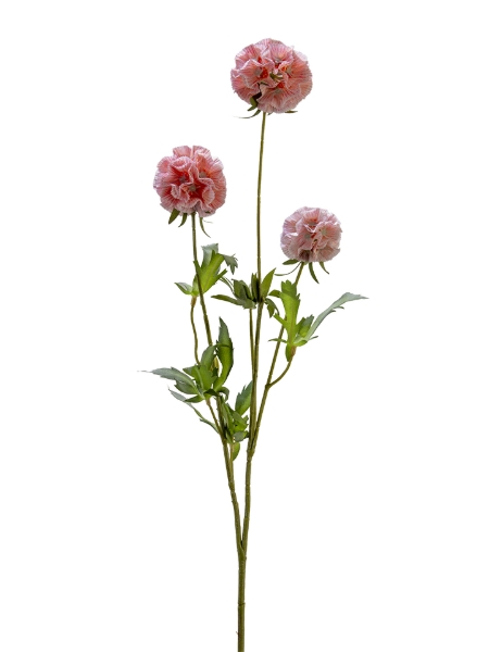 Picture of 29" SCABIOSA  SPRAY