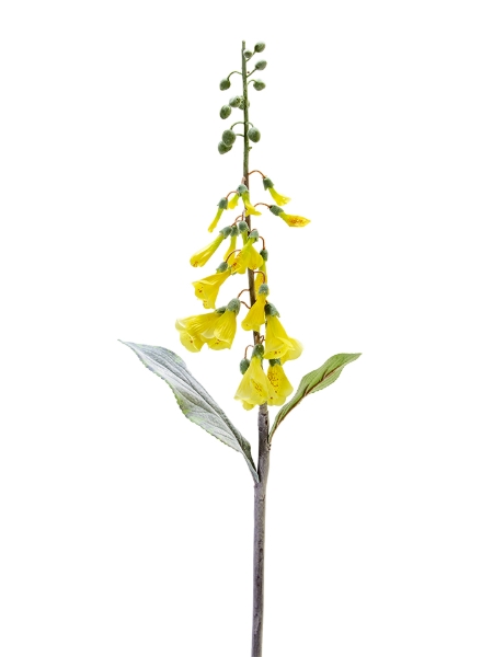 Picture of 36" FOXGLOVE SPRAY