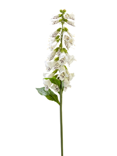 Picture of 31" FOXGLOVE SPRAY