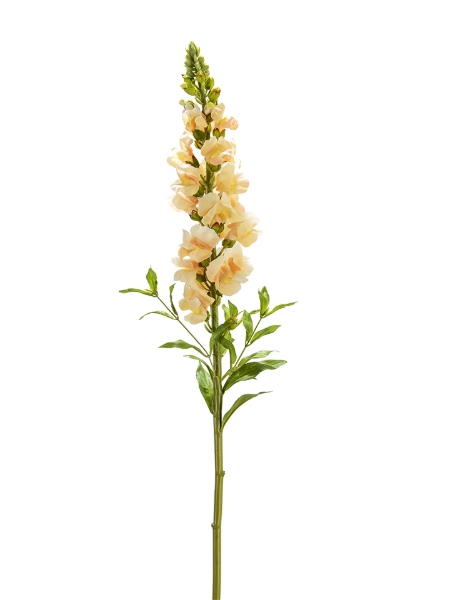 Picture of 34" REAL TOUCH SNAPDRAGON