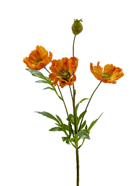 Picture of 27" POPPY SPRAY