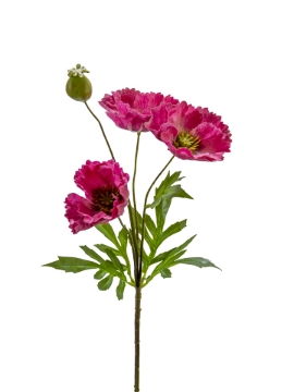 Picture of 27" POPPY SPRAY