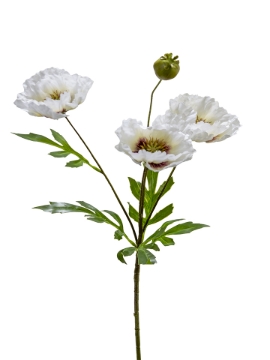 Picture of 27" POPPY SPRAY