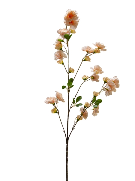 Picture of 41" BUTTERFLY RANUCULUS SPRAY