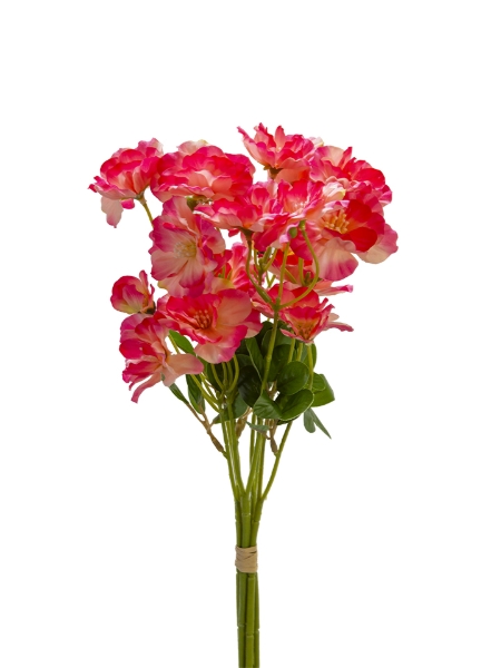 Picture of 18" BUTTERFLY RANCULUS BUNDLE