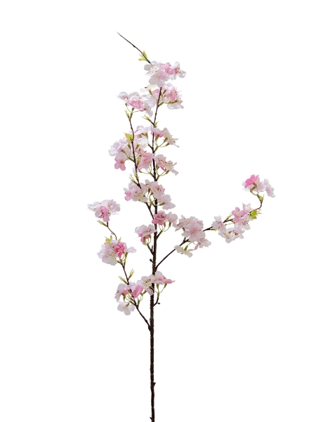 Picture of 40" CHERRY BLOSSOM SPRAY