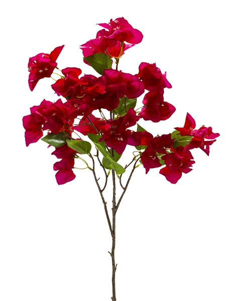 Picture of 41" BOUGAINVILLEA SPRAY