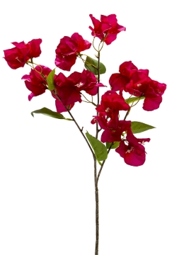 Picture of 28" BOUGAINVILLEA SPRAY