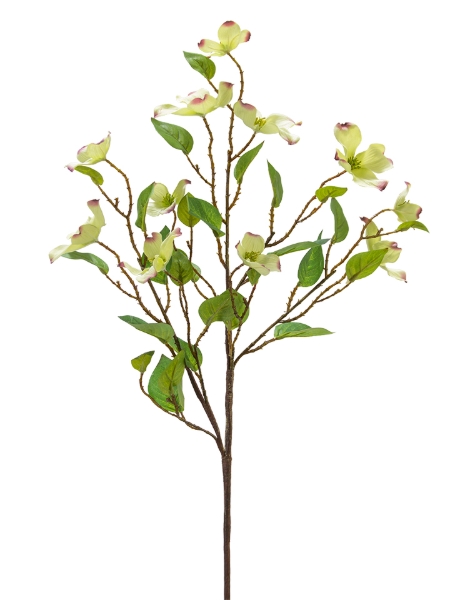 Picture of 35" DOGWOOD BLOSSOM SPRAY