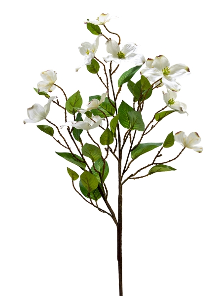 Picture of 35" DOGWOOD BLOSSOM SPRAY