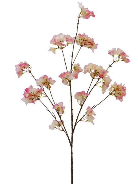 Picture of 51" BOUGAINVILLEA BUSH