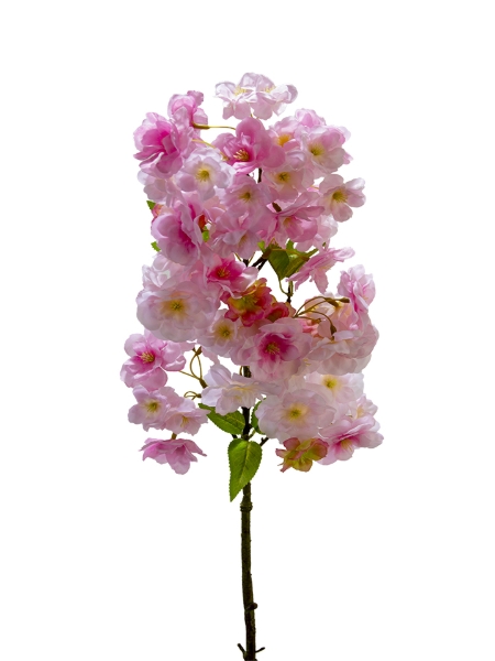 Picture of 31" CHERRY BLOSSOM SPRAY