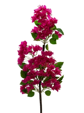 Picture of 43" BOUGAINVILLEA BRANCH
